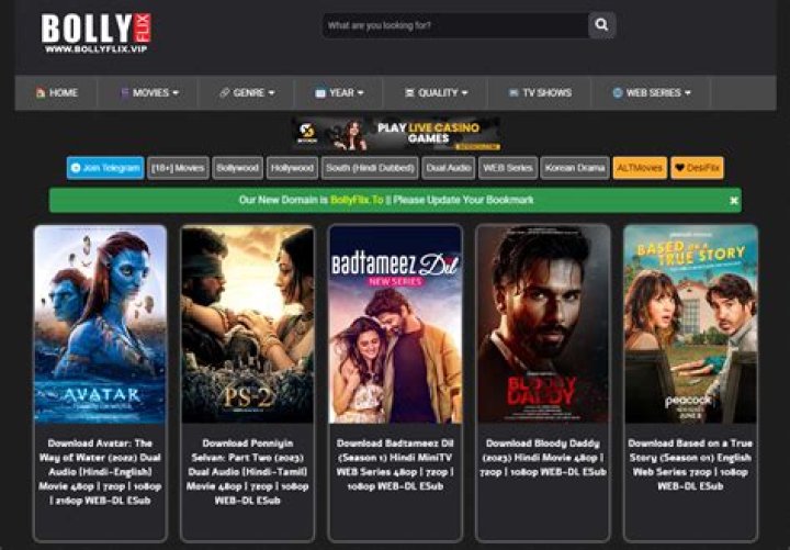 Bollyflix.com in: Your Ultimate Guide to Bollywood Entertainment